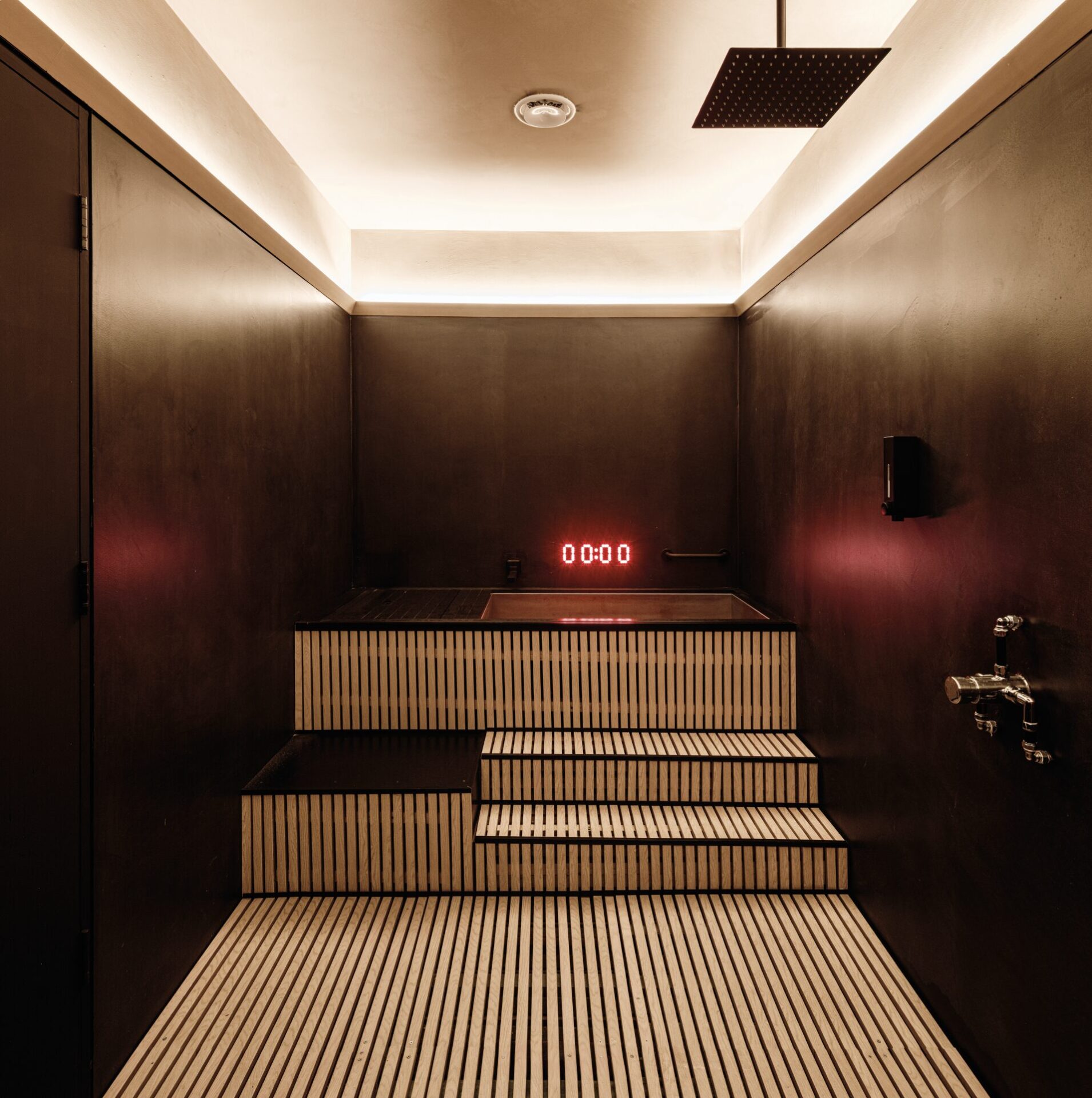 COLD PLUNGE VIEW | View of the cold plunge within the private pod.